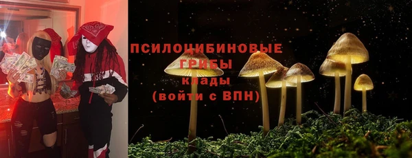 apvp Киреевск