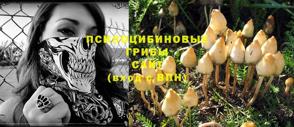 apvp Киреевск